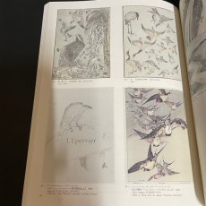 画像13: 芸術のニッポン展　北斎漫画と版画のジャポニズム　1994 (13)