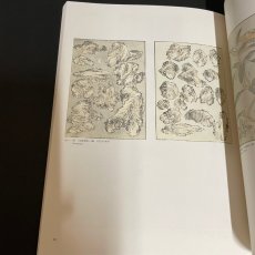 画像16: 芸術のニッポン展　北斎漫画と版画のジャポニズム　1994 (16)