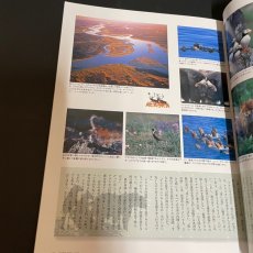 画像6: FRONT フロント 財団法人リバーフロント整備センター 1996年11月　特集 アラスカ　最後のフロンティアは今 (6)