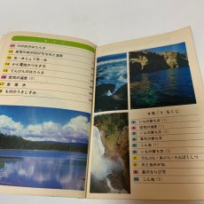 画像4: 小学校 新理科 4年2 大日本図書株式会社 坪井忠二 藤田穆 他 昭和47年 (4)