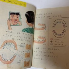 画像5: 新訂版 しょうがっこう りか 2ねん 大日本図書株式会社 岡田要 坪井忠二 他 昭和45年 (5)
