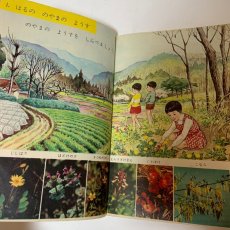 画像6: 新訂版 しょうがっこう りか 2ねん 大日本図書株式会社 岡田要 坪井忠二 他 昭和45年 (6)