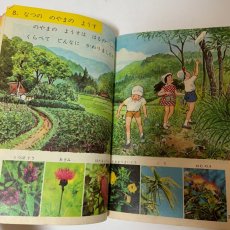 画像8: 新訂版 しょうがっこう りか 2ねん 大日本図書株式会社 岡田要 坪井忠二 他 昭和45年 (8)