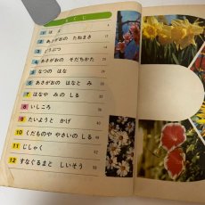 画像4: しょうがっこう しん りか 1ねん 大日本図書株式会社 坪井忠二 藤田穆 他 昭和46年 (4)