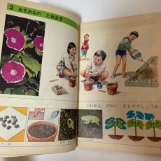 画像6: しょうがっこう しん りか 1ねん 大日本図書株式会社 坪井忠二 藤田穆 他 昭和46年 (6)