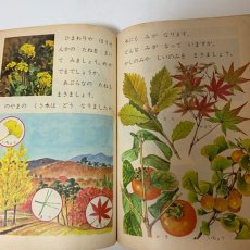画像7: しょうがっこう しん りか 2ねん 大日本図書株式会社 坪井忠二 藤田穆 他 昭和47年 (7)