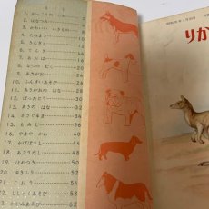 画像4: りかのせかい 1ねん 大日本図書株式会社 藤田穆 他 昭和38年 (4)