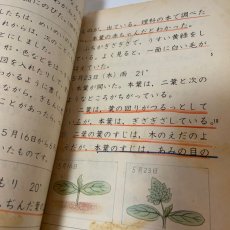画像6: 小学 新国語 三年上 石森延男 昭和46年 光村図書出版株式会社 (6)