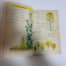 画像3: 小学校 新理科 3年 坪井忠二 藤田穆 大日本図書株式会社 昭和46年 (3)