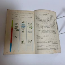 画像5: 小学校 新理科 3年 坪井忠二 藤田穆 大日本図書株式会社 昭和46年 (5)