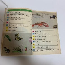 画像7: 小学校 新理科 3年 坪井忠二 藤田穆 大日本図書株式会社 昭和46年 (7)