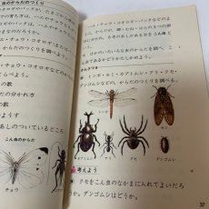 画像9: 小学校 新理科 4年1 坪井忠二 藤田穆 大日本図書株式会社 昭和47年再販 (9)