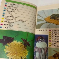 画像2: 小学校 新理科 4年1 坪井忠二 藤田穆 大日本図書株式会社 昭和47年再販 (2)