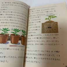 画像11: 小学校 新理科 4年1 坪井忠二 藤田穆 大日本図書株式会社 昭和47年再販 (11)