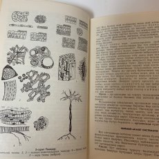 画像7: 羊飼育の基礎 A.ジェティゲノフ Ch.ヌルガジエフ (7)