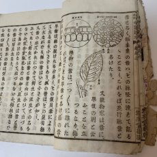 画像5: 高等科用 帝国読本 巻之3 学海指針社 明治27年 (5)