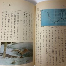 画像7: 小学校 国語 5年 上 学校図書 青木幹勇 井上敏夫 野地潤家 望月久貴 昭和53年 (7)