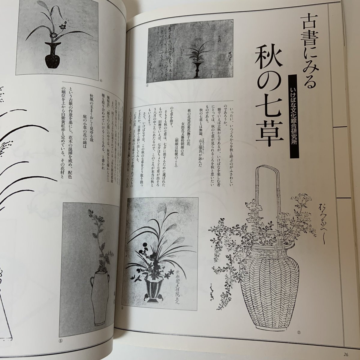 画像9: 月刊嵯峨 別冊 心粧 いけばな嵯峨御流 秋号 1991年 No.2 特集 秋草 大本山大覚寺嵯峨御所華道総司所 1991年10月 (9)