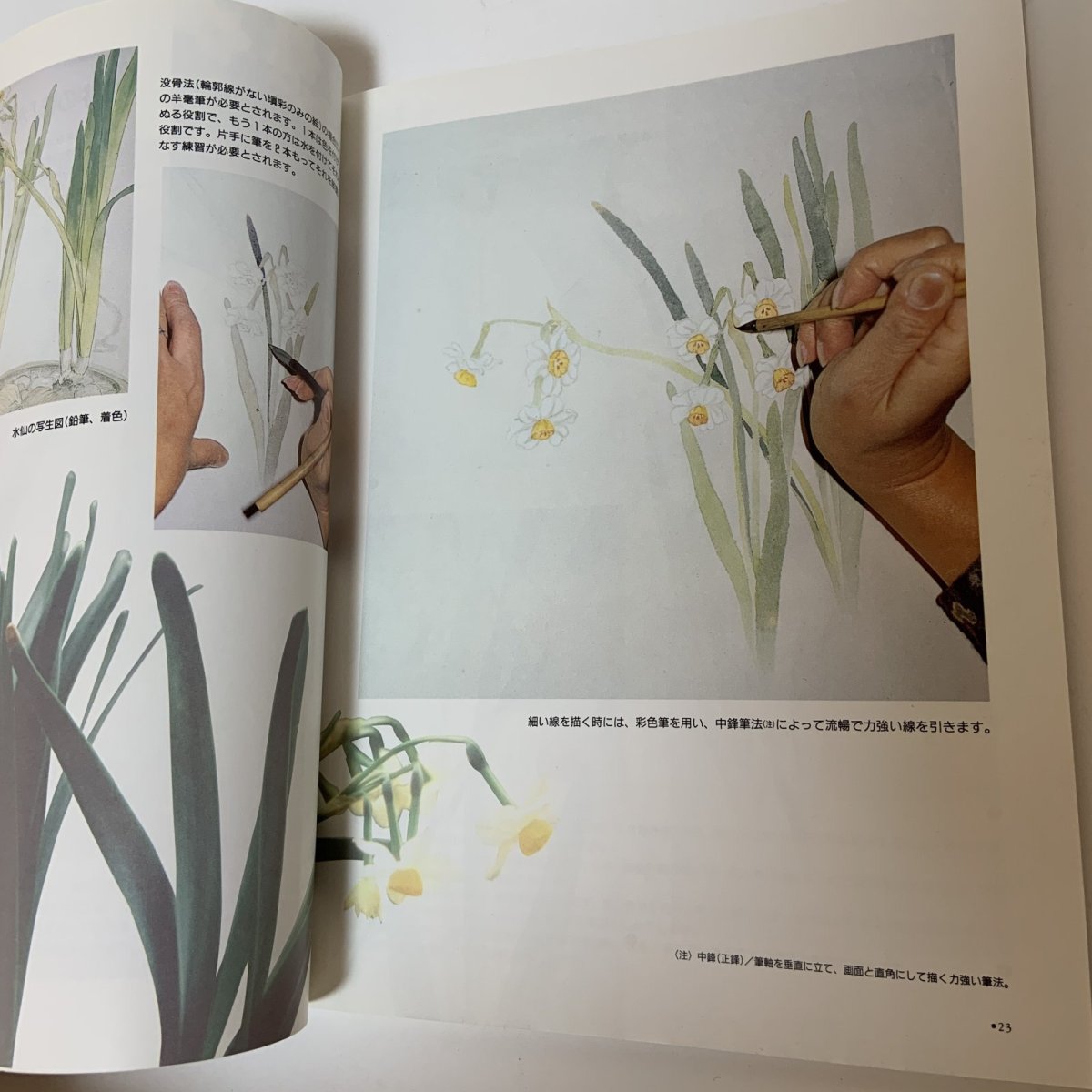 画像6: 日本画の原点 水墨絵画 No.1 ドゥー・アート 1992年1月21日号 別冊 同朋舎出版  (6)