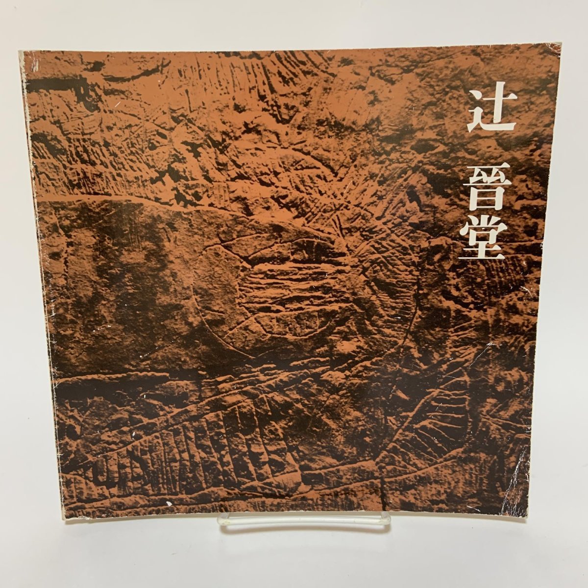 画像1: 現代彫刻の異才 辻晋堂 1983年 昭和58年 日本経済新聞社 (1)