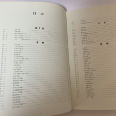 画像4: 揚州八怪書画精選 揚州博物館蔵 江蘇古書出版社 2001年 (4)