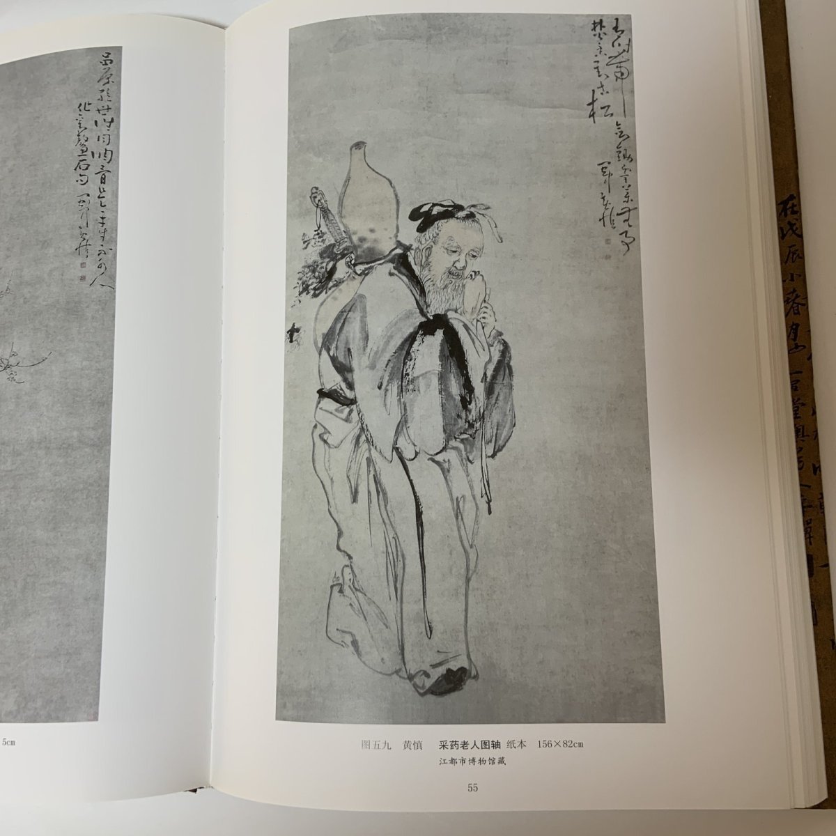 画像6: 揚州八怪書画精選 揚州博物館蔵 江蘇古書出版社 2001年 (6)