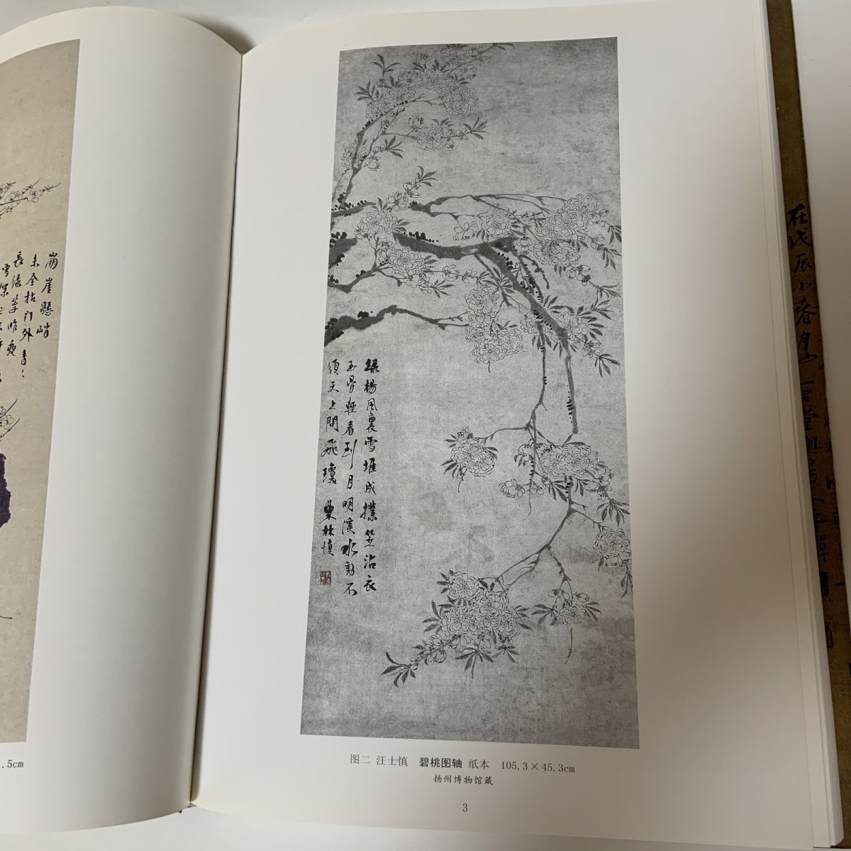 画像9: 揚州八怪書画精選 揚州博物館蔵 江蘇古書出版社 2001年 (9)