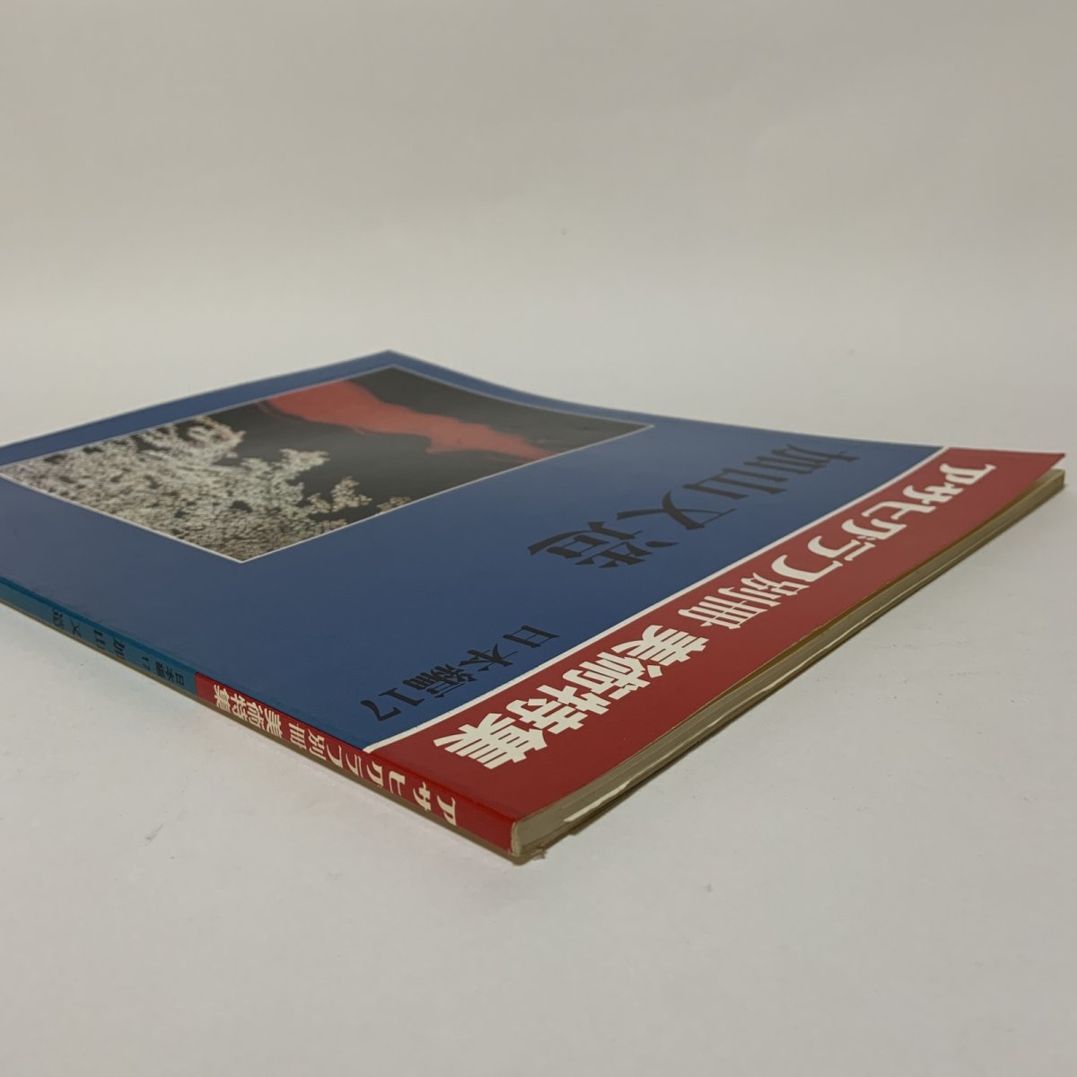 画像3: 加山又造 アサヒグラフ別冊 美術特集 日本編17 朝日新聞社 1979年 昭和54年 日本画 動物 自然 女性 画集 (3)