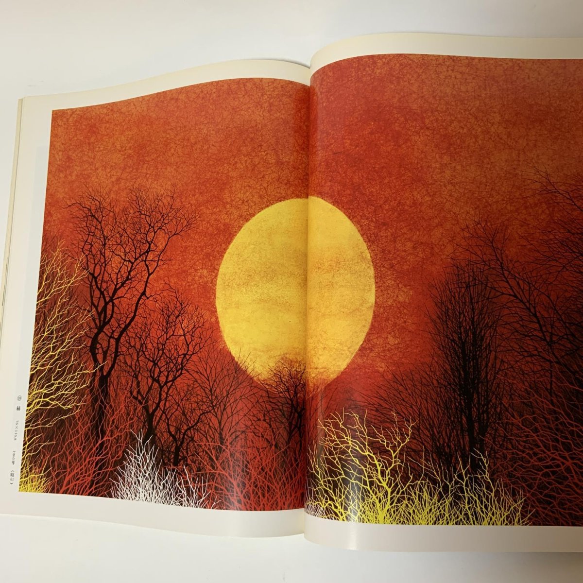 画像6: 加山又造 アサヒグラフ別冊 美術特集 日本編17 朝日新聞社 1979年 昭和54年 日本画 動物 自然 女性 画集 (6)