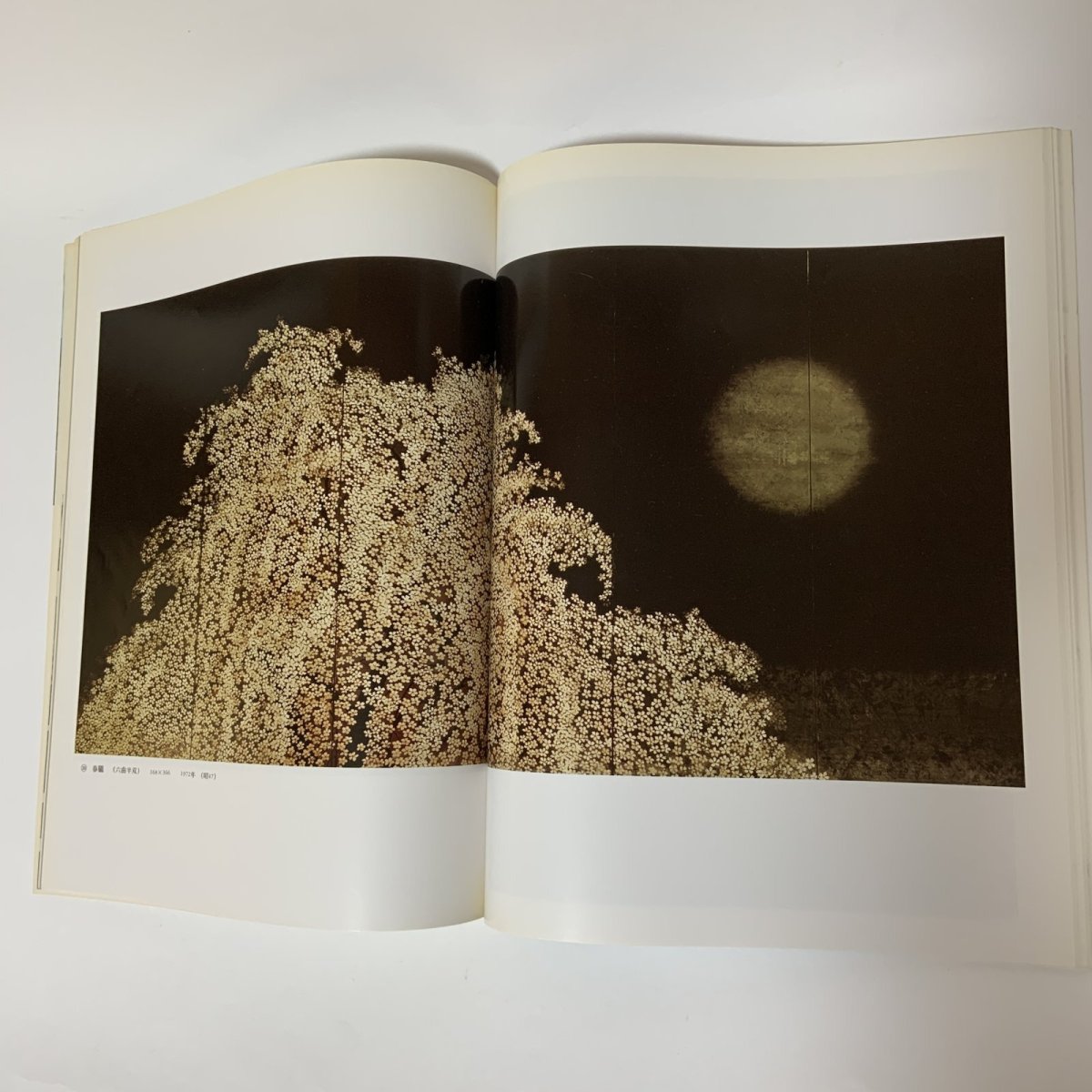 画像7: 加山又造 アサヒグラフ別冊 美術特集 日本編17 朝日新聞社 1979年 昭和54年 日本画 動物 自然 女性 画集 (7)