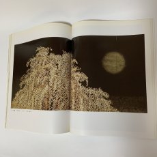 画像7: 加山又造 アサヒグラフ別冊 美術特集 日本編17 朝日新聞社 1979年 昭和54年 日本画 動物 自然 女性 画集 (7)