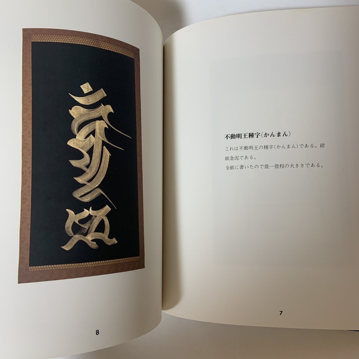 画像6: 老密教僧書画 建部快運 曼荼羅画プロジェクト 昭和56年 1981年 仏教美術 宗教美術 書道 仏教芸術 精神世界 東洋美術  (6)
