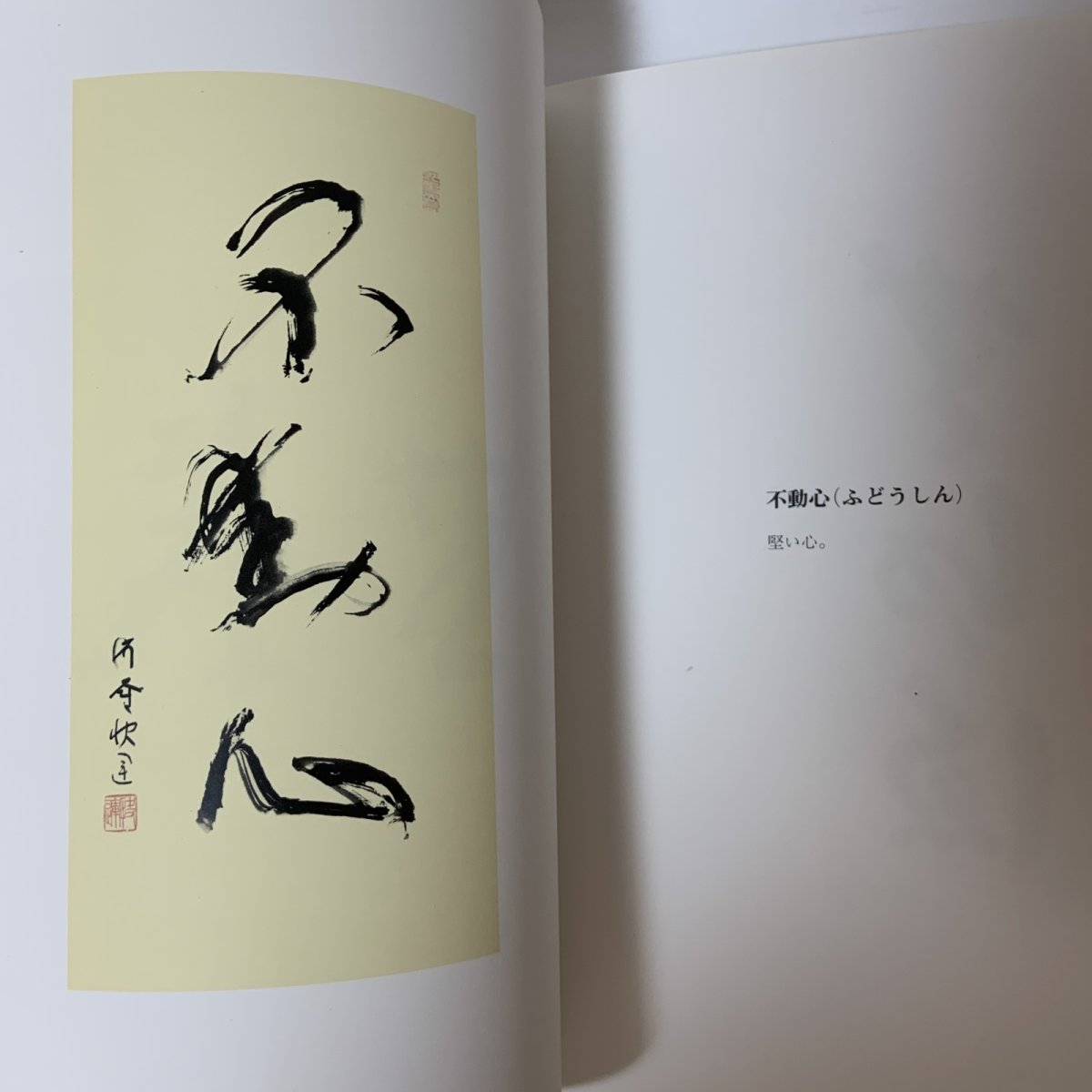 画像8: 老密教僧書画 建部快運 曼荼羅画プロジェクト 昭和56年 1981年 仏教美術 宗教美術 書道 仏教芸術 精神世界 東洋美術  (8)