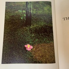 画像5: The TEA CEREMONY Sen'o Tanaka 茶の心 田中仙翁 1977年 昭和52年 講談社インターナショナル 茶道 茶道具 茶の湯 日本文化 英語  (5)