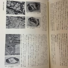 画像7: 東洋陶磁 1974-76 VOL.3 昭和51年 1976年 東洋陶磁学会 陶磁器研究 東洋美術 古陶磁 工芸史 美術史 (7)