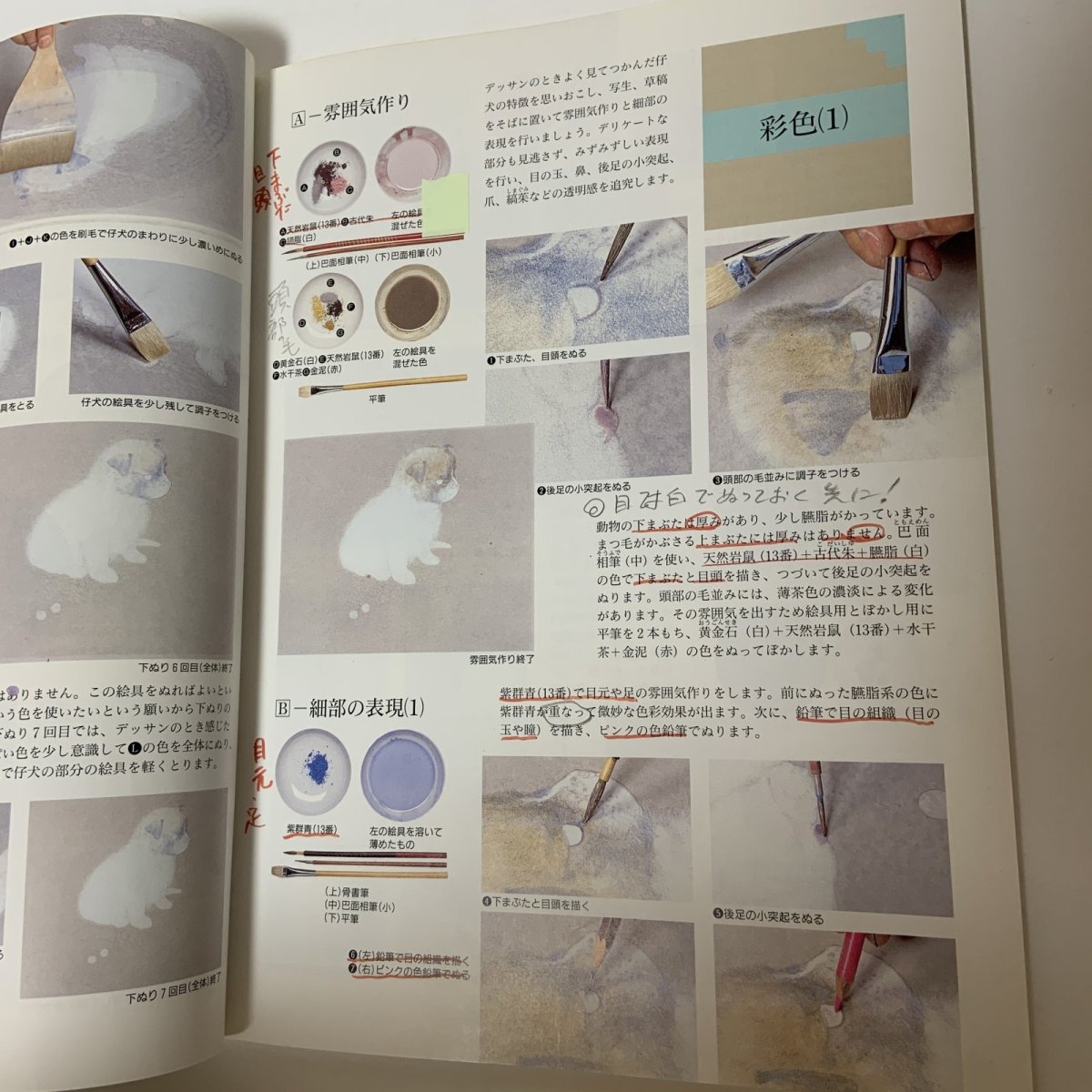 画像9: 人気作家に学ぶ 日本画の技法 1〜11 まとめて11冊セット 同朋舎出版 1994年1月〜11月 野の花 静物 山水 花 人物 洋花 街 動物 女性 風景 絵画 (9)